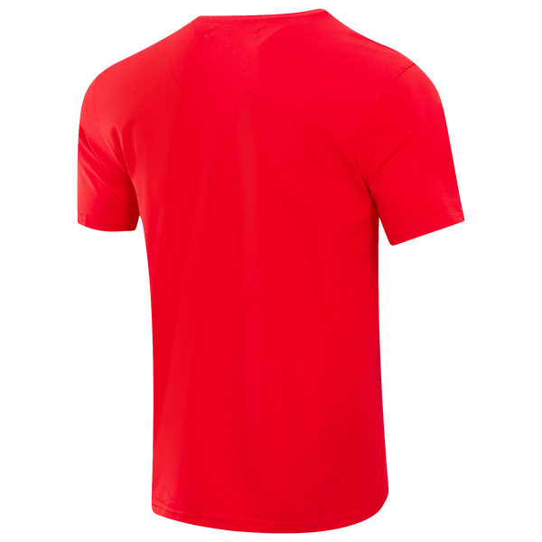 Pro Standard BULLS CLASSIC BRISTLE SJ TEE - Men's - Red - Image 4