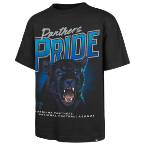 47 Brand NFL Panthers Wilderness T-Shirt - Men's - Black