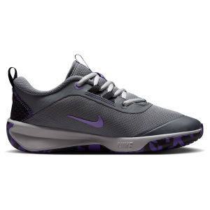 Nike Omni - Boys' Grade School - Smoke Grey/Metallic Gold/Action Grape